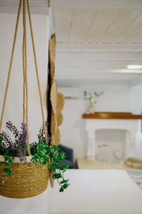 Yard- Family Retreat Διαμέρισμα Corinth Εξωτερικό φωτογραφία